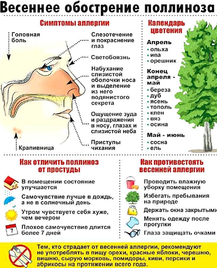 Глазная аллергия - симптомы, виды, типы, методы лечения. - энциклопедия ochkov.net
