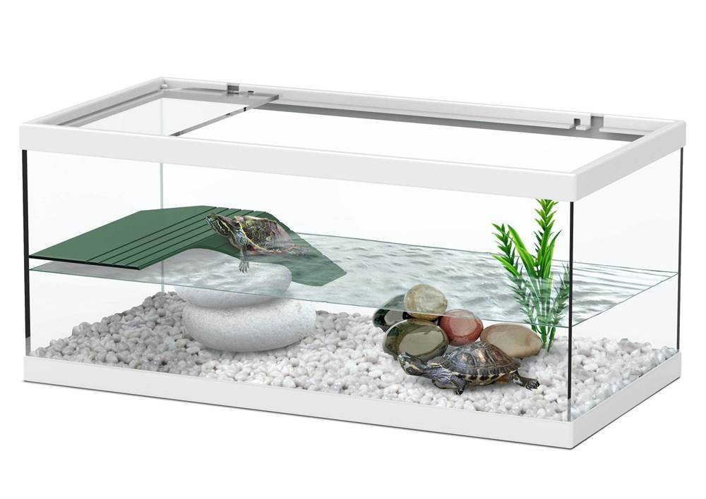 Островок или берег для водной черепахи - все о черепахах и для черепах. террариум или акватеррариум для черепахи
