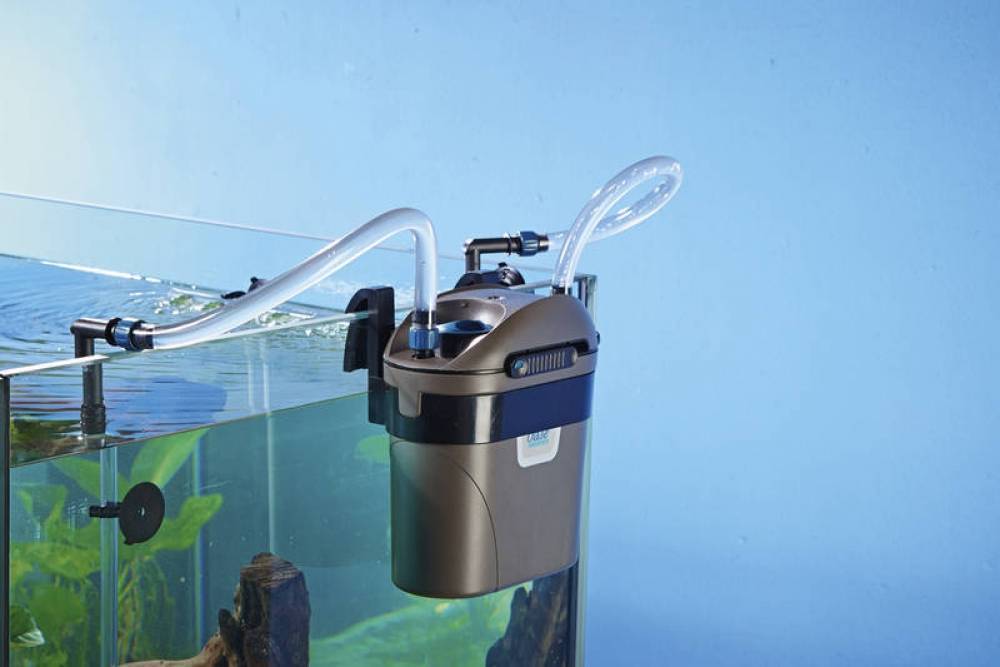 Что лучше помпа или фильтр для аквариума и в чем разница, понятие аэрация
