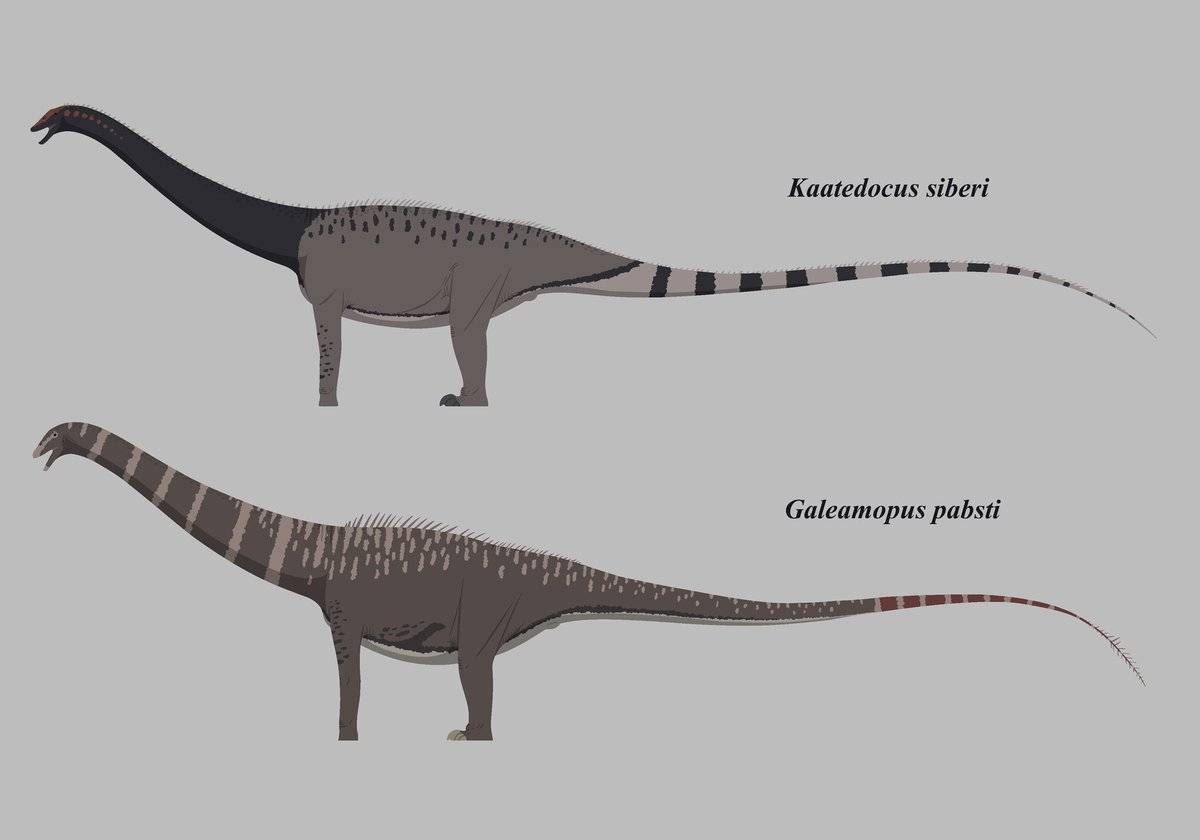 Diplodocus | dododex | ark: survival evolved