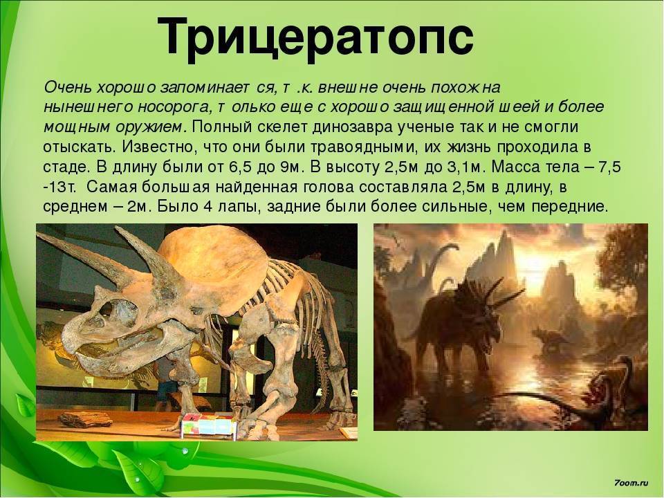 Тираннозавр (лат. tyrannosaurus)