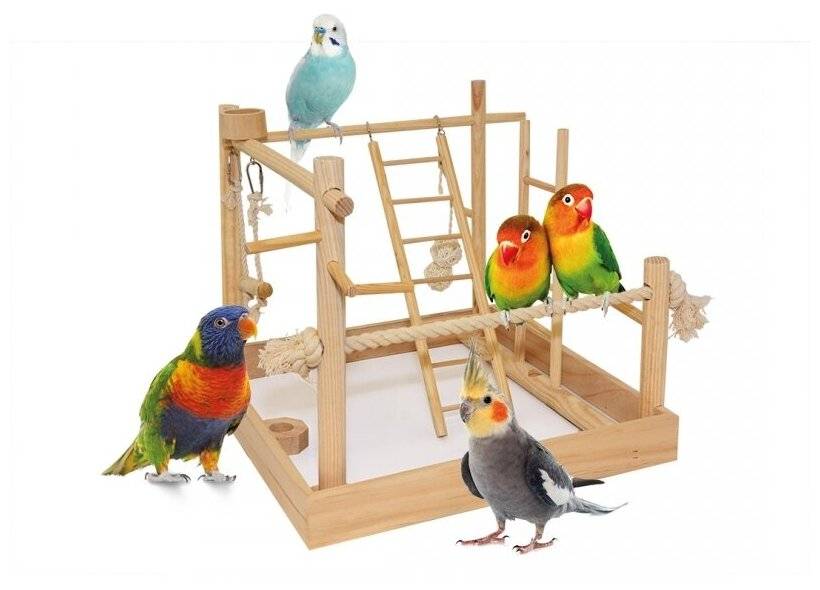 Игрушки для различных пород попугаев