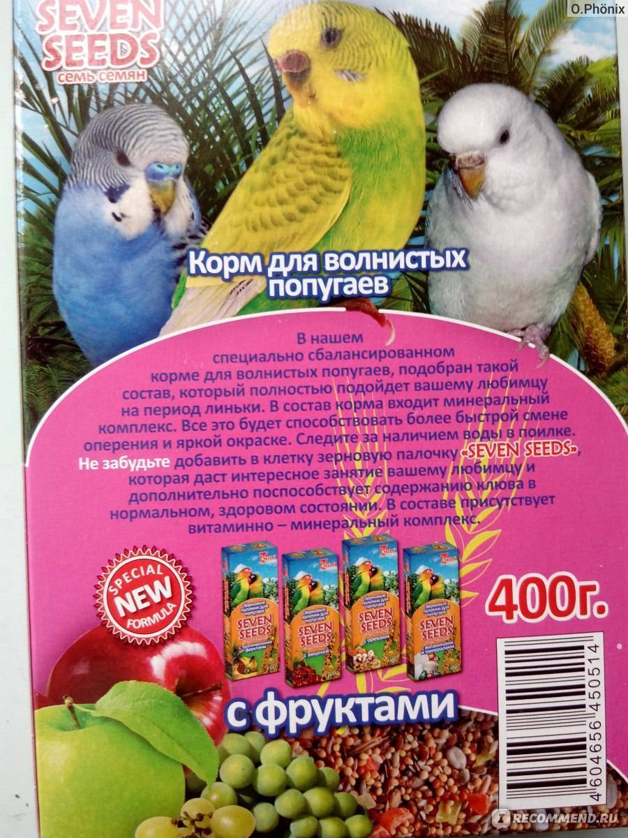 Витамины для попугаев: какие комплексы и минеральные смеси нужно давать птицам, как правильно давать, запрещенные добавки