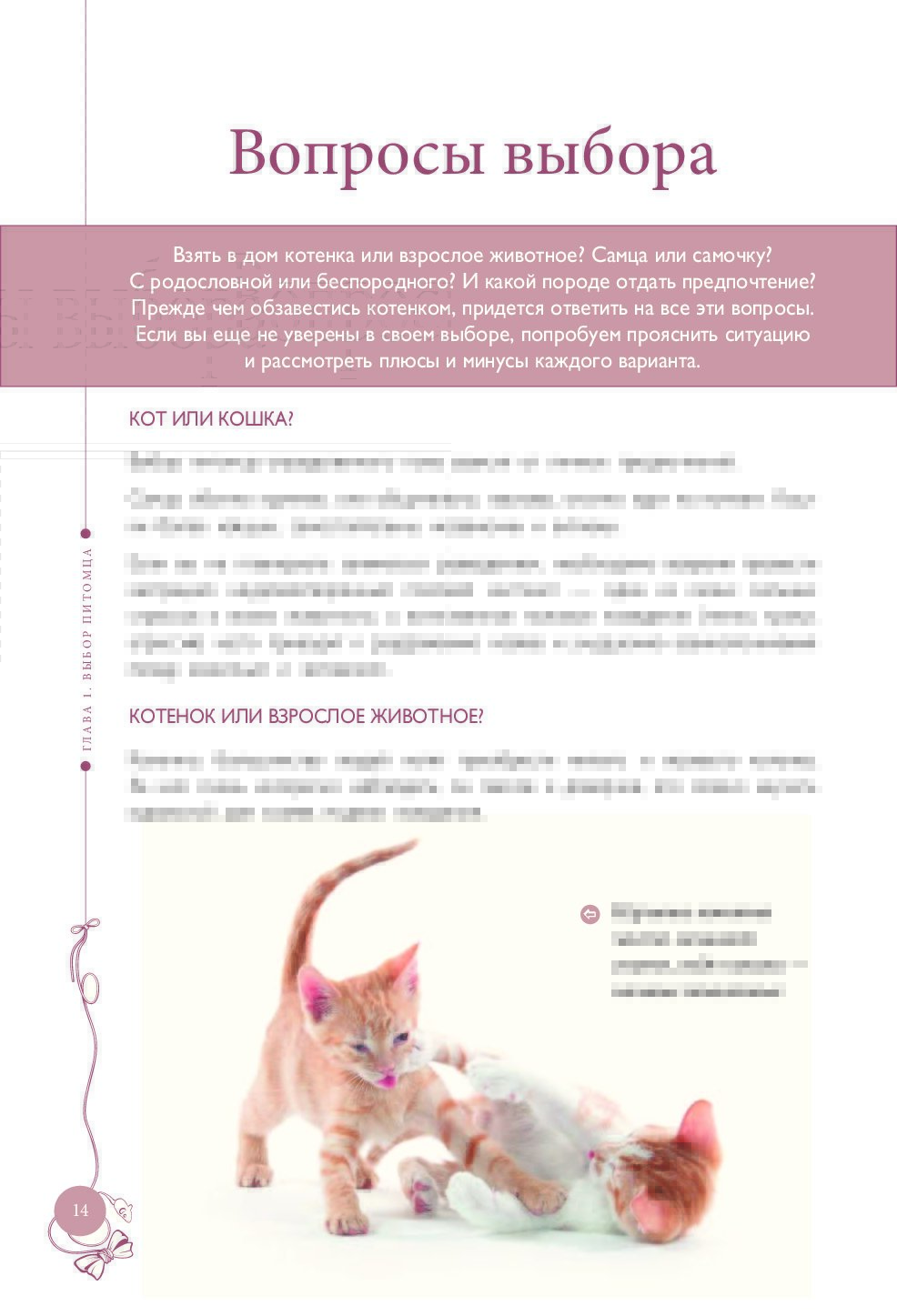 Кого лучше завести: кота или кошку - особенности поведения, характера и отзывы владельцев :: syl.ru