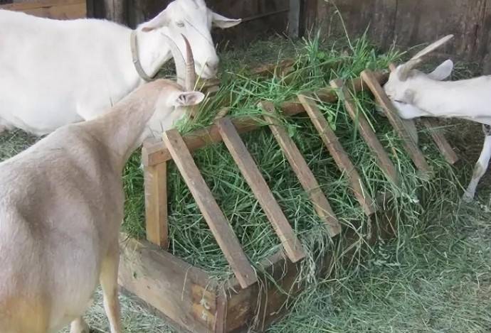 Кормушки для коз под сено и траву делаем своими руками по схеме