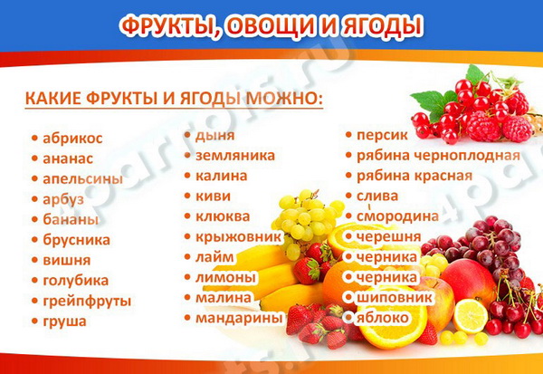 Какие фрукты и ягоды можно давать попугаю: волнистому, корелла, жако, неразлучнику, розелла