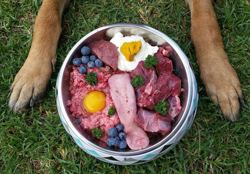 Чем кормить собаку в домашних условиях: как правильно и лучше