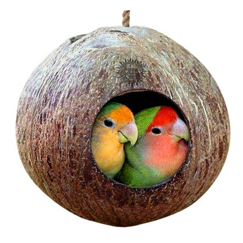 Для чего необходимо гнездо волнистым попугаем и как сделать своими руками