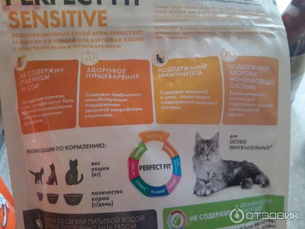 Витамины для котят