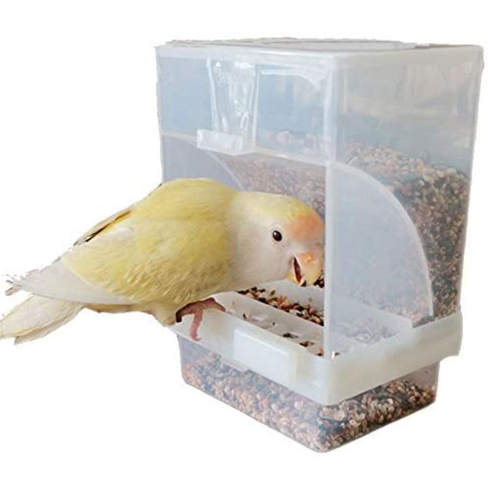 Кормушка для волнистых попугаев в клетку: автоматическая и закрытая