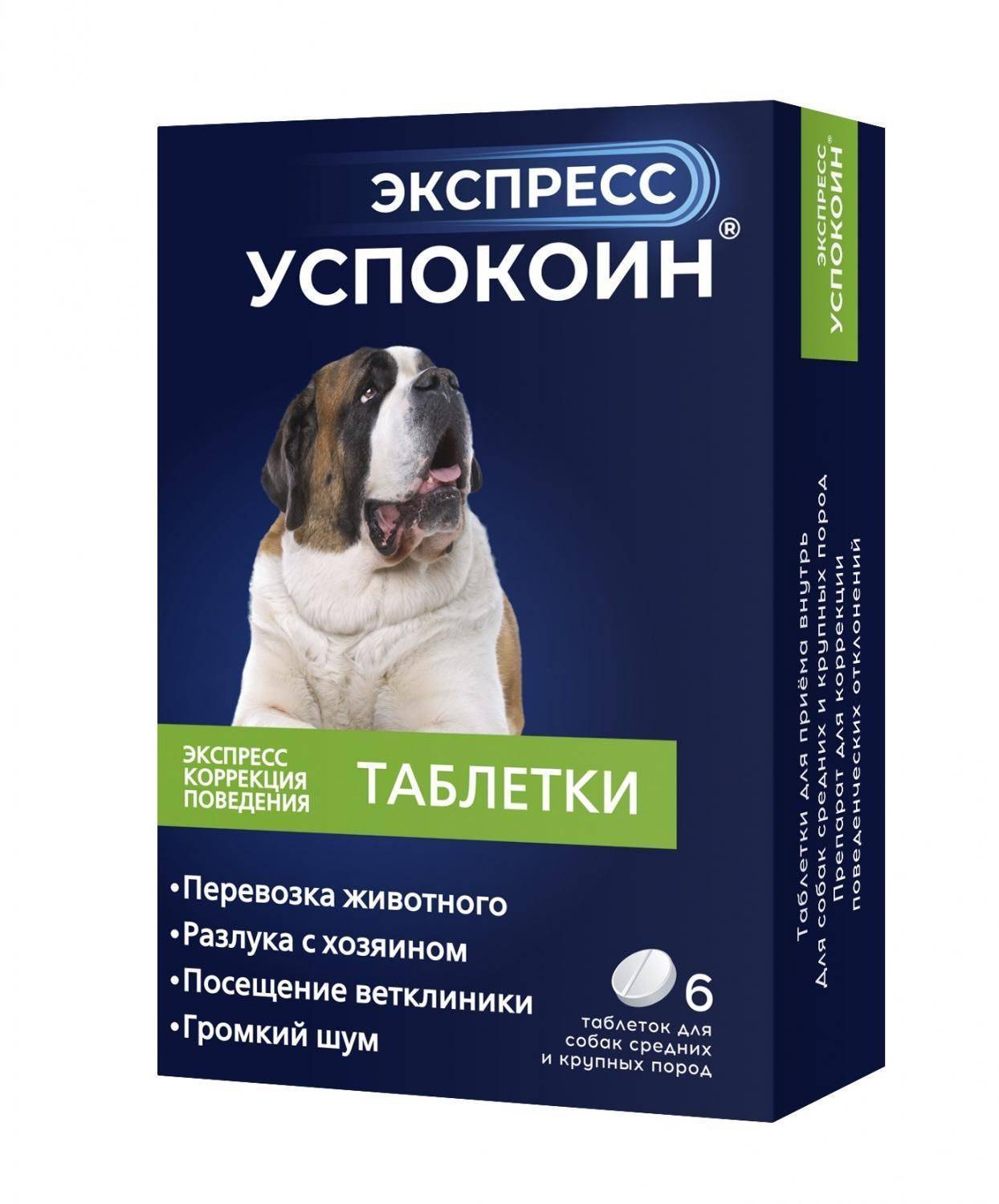 Успокоительные для собаки: обзор препаратов, когда применять
