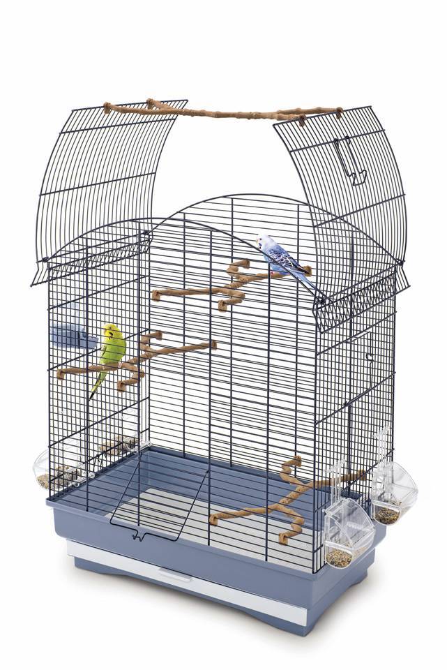 ? выбор клетки для волнистого попугая: размеры, форма, материалы