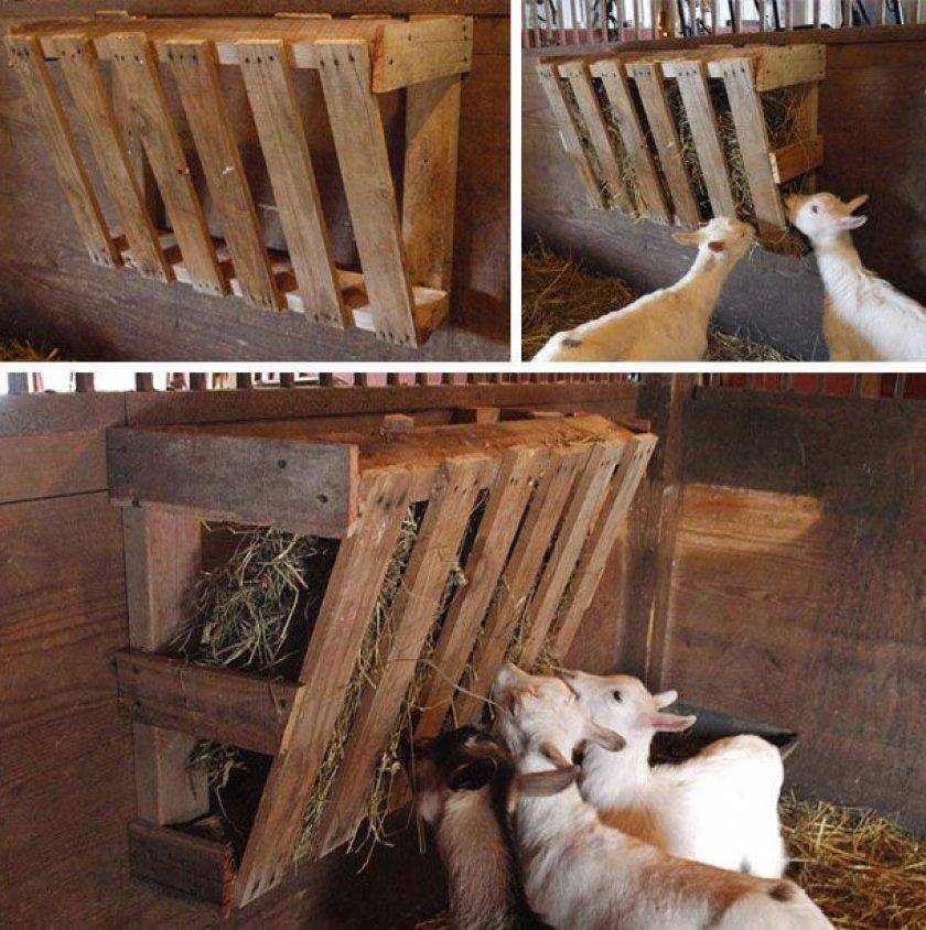 Инструкция по созданию кормушки для коз своими руками