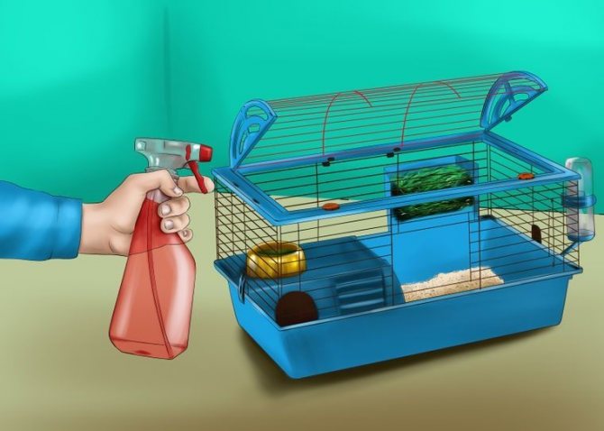 Как мыть клетку для попугая? | животные