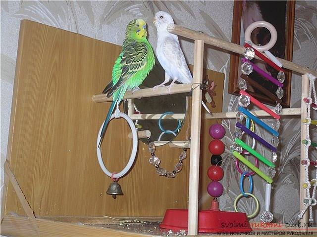 Делаем игрушки для попугаев безопасными.